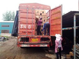 供應(yīng)順風(fēng)無煙木炭與機制木炭廠尋源指南